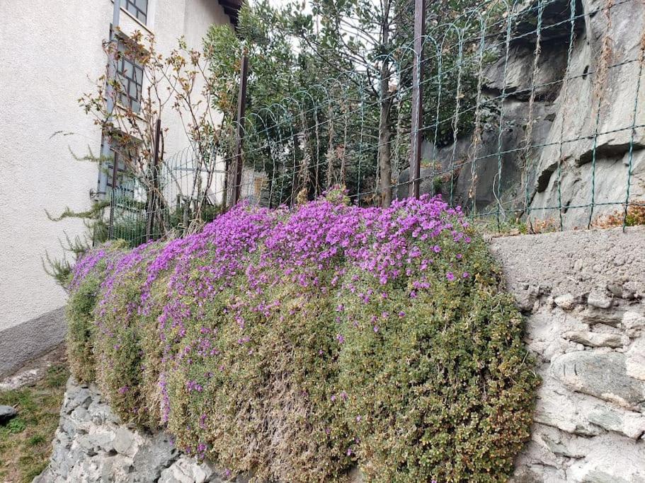Ormea Nel Cuore Εξωτερικό φωτογραφία
